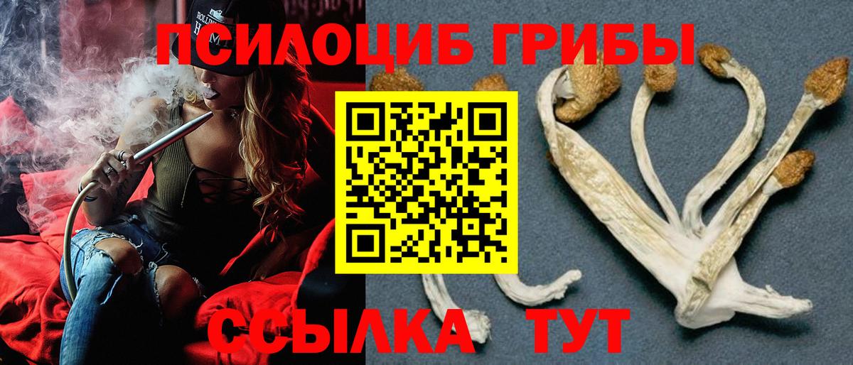 Псилоцибиновые грибы Cubensis  Вход с VPN  Галлюциногенные грибы MAGIC MUSHROOMS  Иваново 